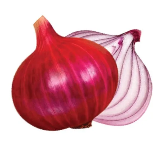 বেগম স্পেশাল