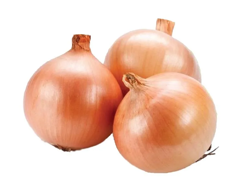 রানি ভিক্টোরিয়া
